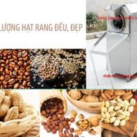 Máy rang hạt RH25D