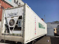 Container lạnh 45RF