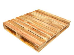 Pallet gỗ keo