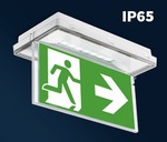 Đèn LED Palas
