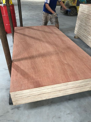 Commercial Plywood - N1