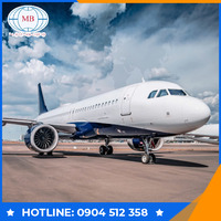 Vận tải hàng hóa bằng đường hàng không