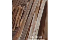 Phôi gỗ tràm bông vàng - tràm F1 F2