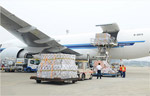 Vận tải hàng hóa đường hàng không