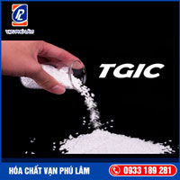 TGIC