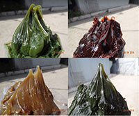 Mỡ bôi trơn đa dụng