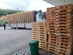 Pallet gỗ thông sấy