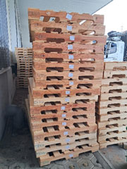 Pallet gỗ thông