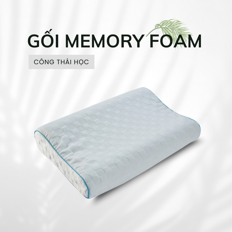 Gối công thái học Memory Foam