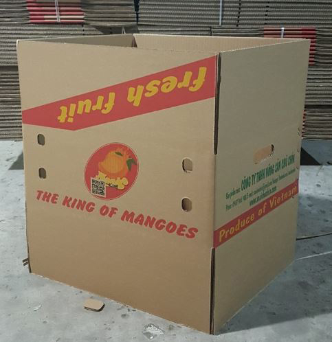 Thùng carton in Flexo