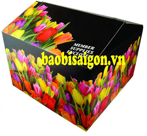 Hộp Bồi sóng E