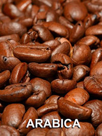 Hạt cà phê Arabica