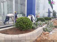 Thiết kế cảnh quan công trình dự án