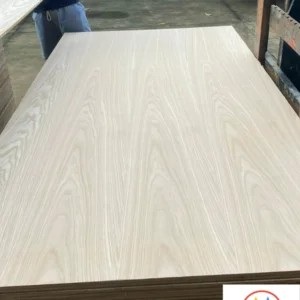 Veneer sồi trắng
