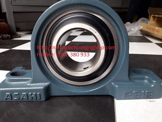 Gối đỡ UCP 318