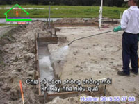 Dịch vụ diệt mối