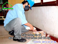 Dịch vụ diệt mối