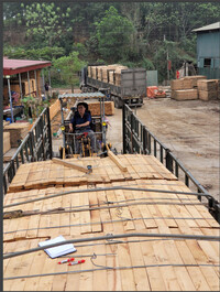 Gỗ Keo xẻ