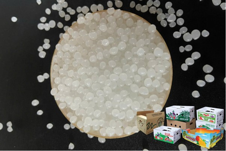 Keo dán thùng carton