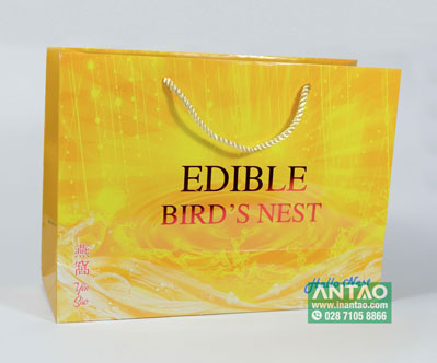 In túi giấy