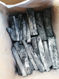 Than trắng bạch đàn
