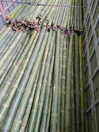 Cọc tre - luồng