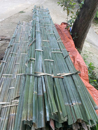 Phên nứa