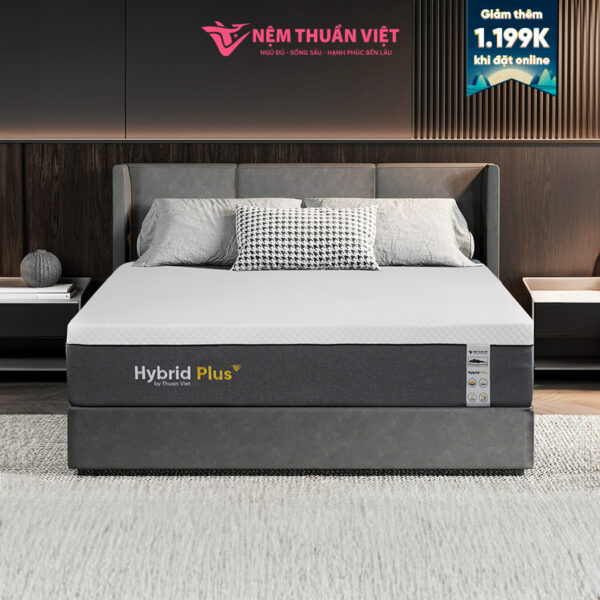 Nệm Foam Latex Thuần Việt Hybrid Plus