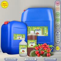 Dầu nụ tầm xuân