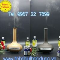 Máy khuếch tán tinh dầu bình hoa