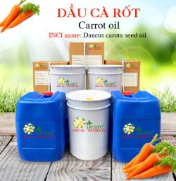 Dầu cà rốt Carrot Base Oil
