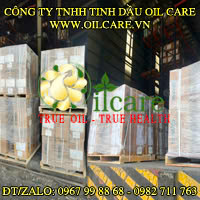 Tinh dầu thiên nhiên Oil Care
