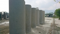 Cống tròn bê tông cốt thép D800