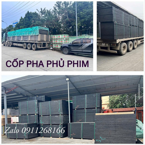 Ván ép các loại