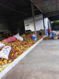 Nguyên liệu sản xuất