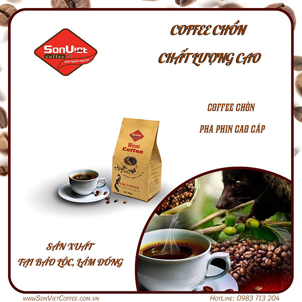 Coffee Chồn