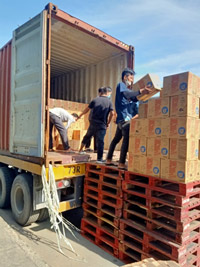 Dịch vụ bốc xếp hàng hóa
