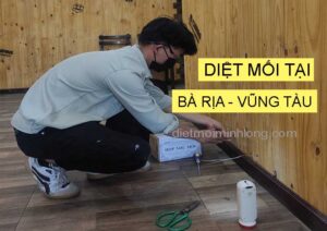 Dịch vụ diệt mối