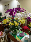 Hoa lan