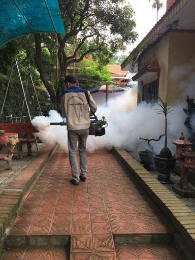 Dịch vụ phòng và diệt côn trùng