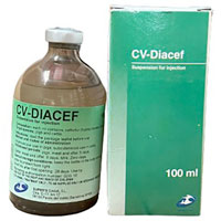 CV - DIACEF