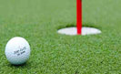 Cỏ nhân tạo sân Golf