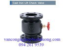 Van 1 chiều lò xo