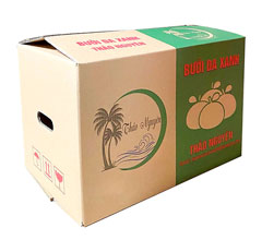 Thùng carton 5 lớp