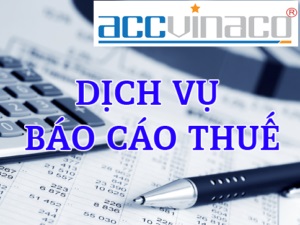 Báo cáo thuế hàng tháng