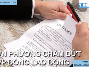 Tư vấn đơn phương chấm dứt hợp đồng