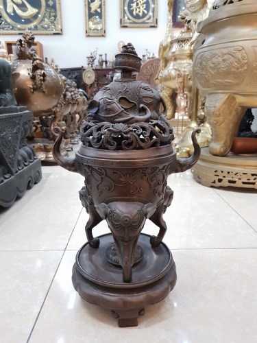 Đỉnh voi đồng