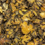 Xuyên khung