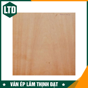 Ván Okal Melamine vân gỗ