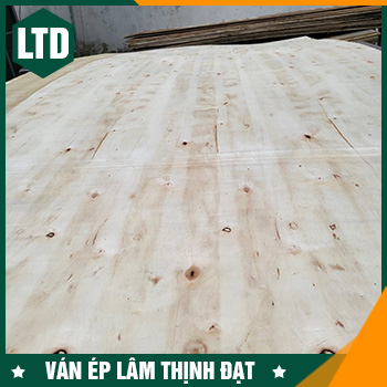 Ván ép bao bì